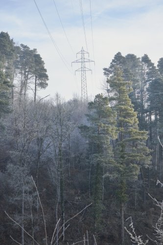 Quelle: iwb, Christian Aeberhard