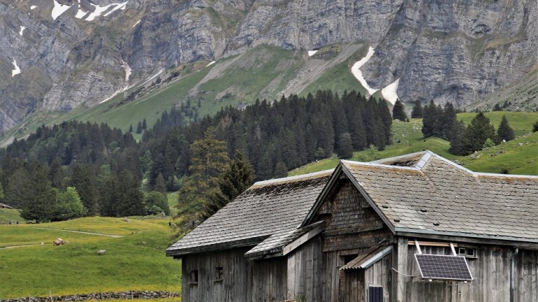 Bild: pasja1000/pixabay