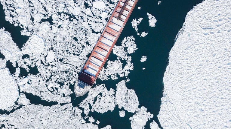 Politische Feder 5/2019 