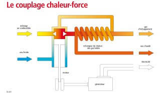 Le couplage chaleur-force