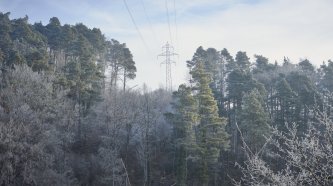 Quelle: iwb, Christian Aeberhard